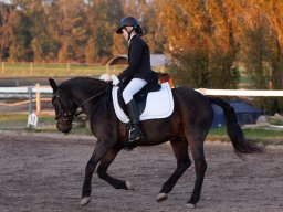 IMG_8124_web